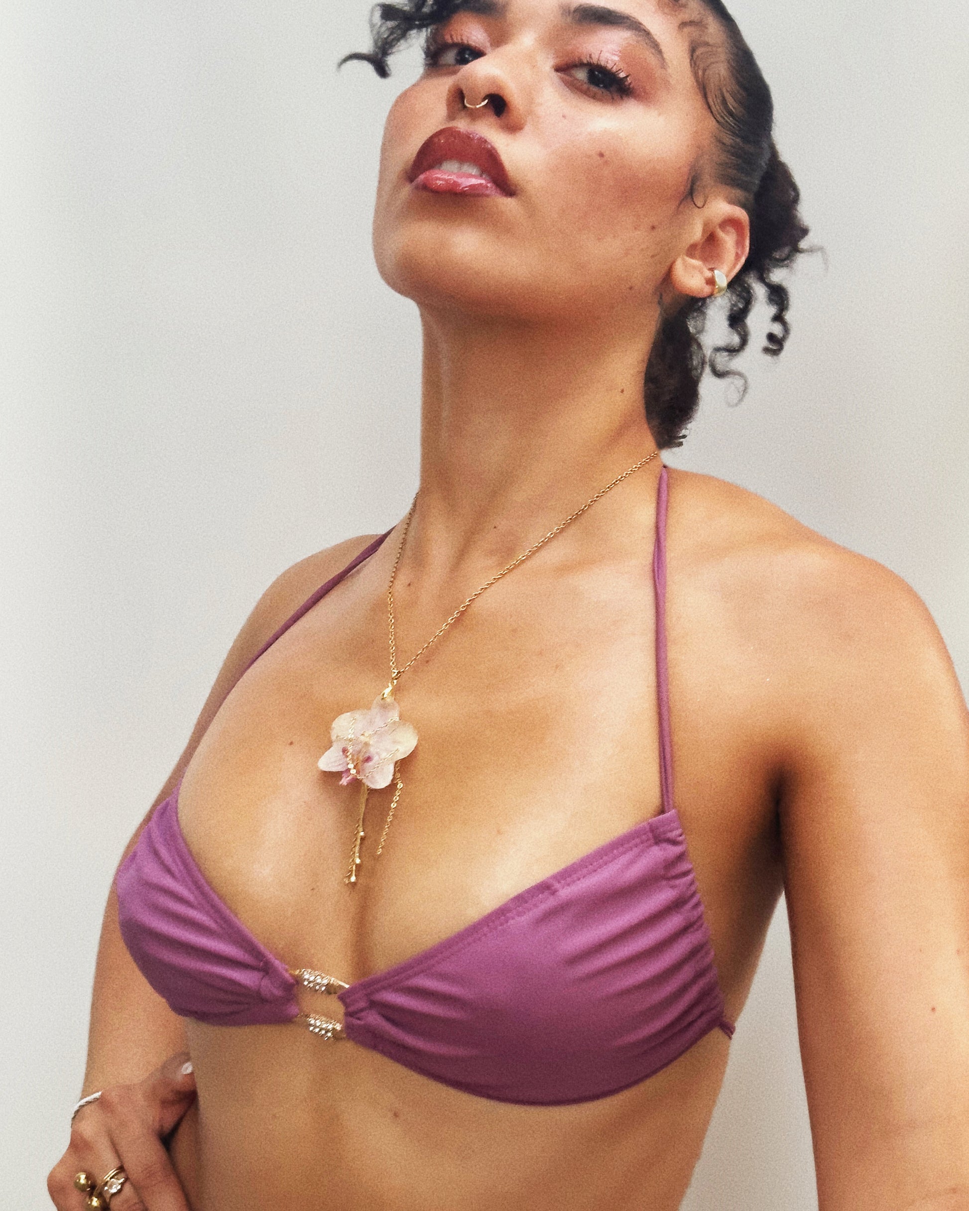 Tiger Lily